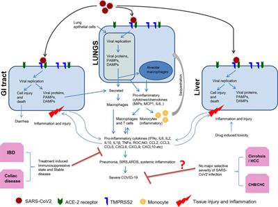 Host Response to SARS-CoV2 and Emerging Variants in Pre-Existing Liver and Gastrointestinal Diseases